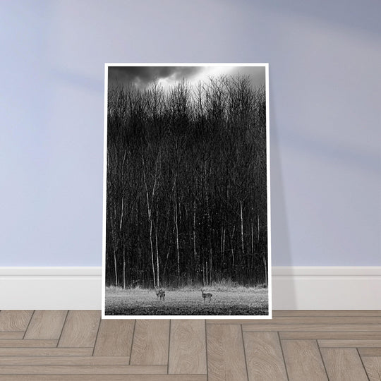 The Tall Trees Print