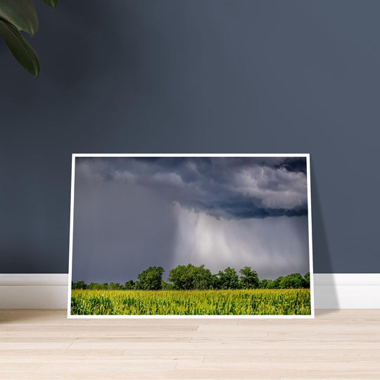 Ouachita Showers Print