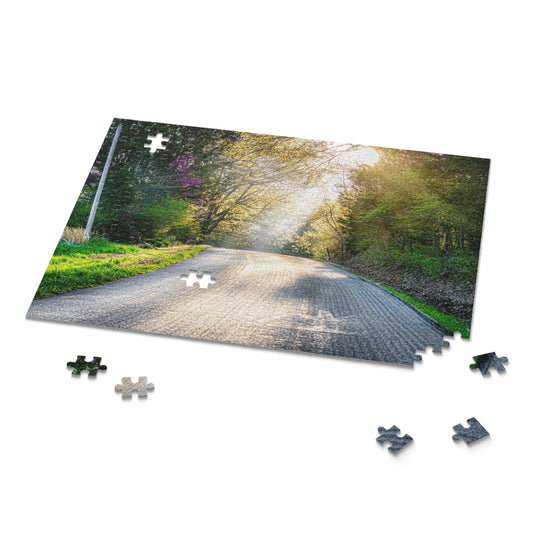 Spring Drive Puzzle