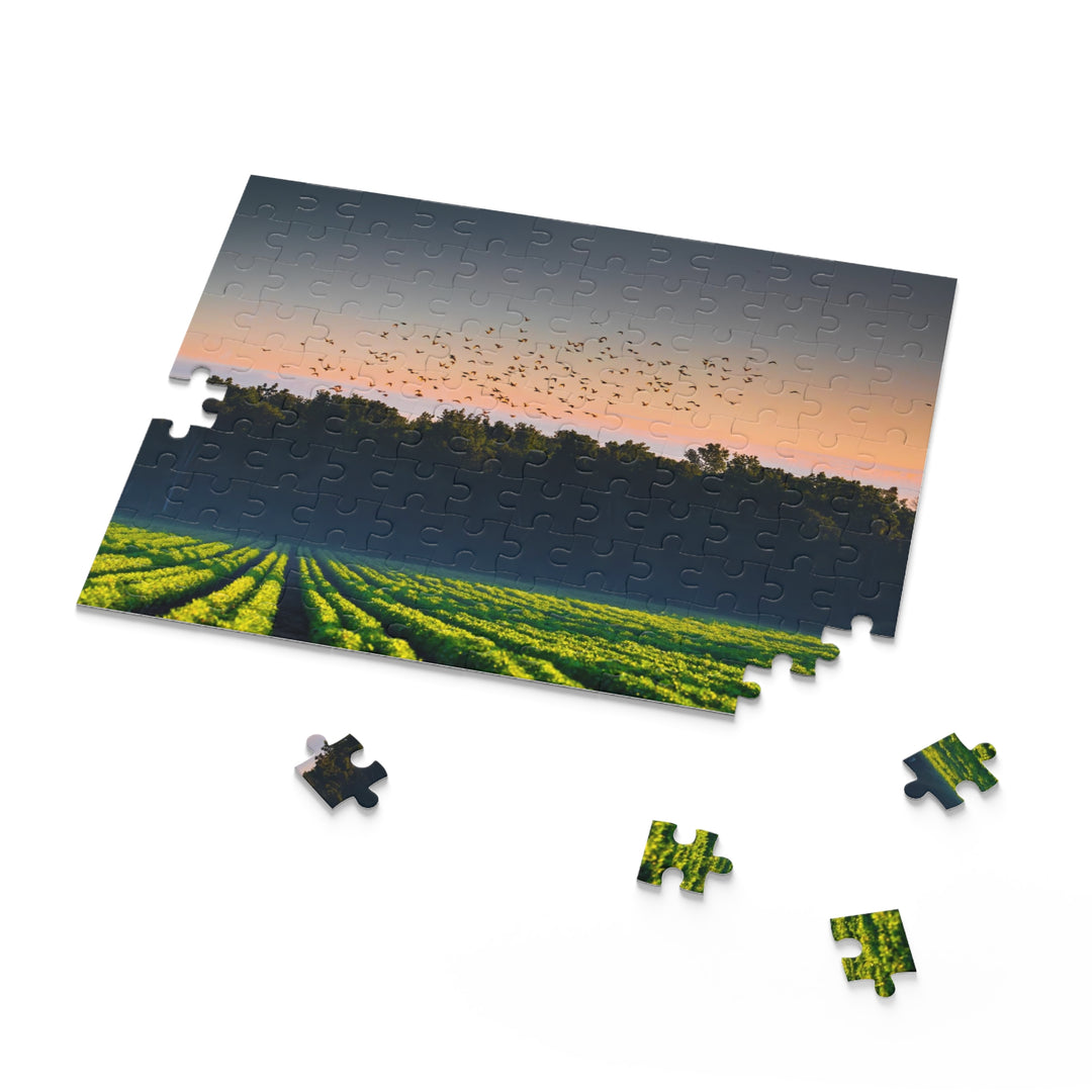 Small Town Farm Puzzle