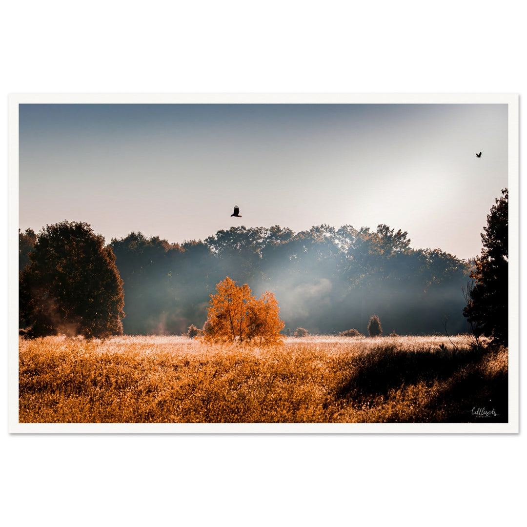 The Wild Print