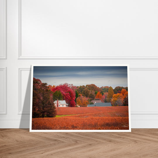 Virgina Fall Day Print