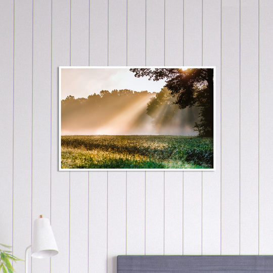 Rays of Hope Print