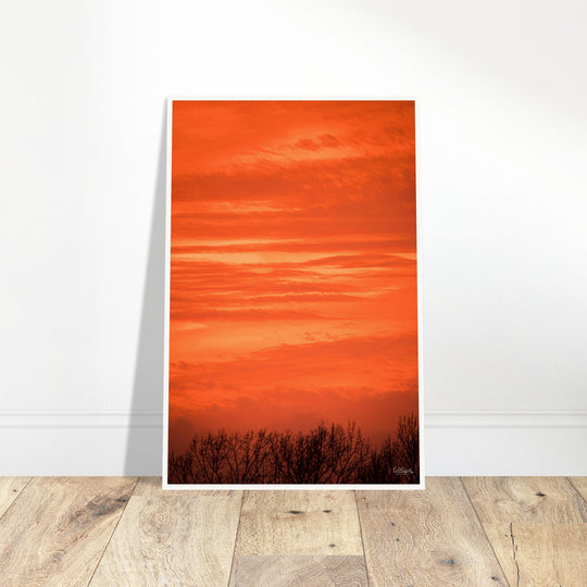 Orange Eads Print