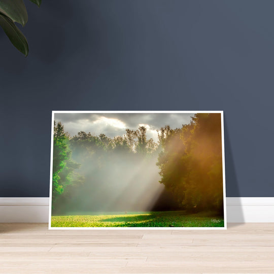 Morning Light Print