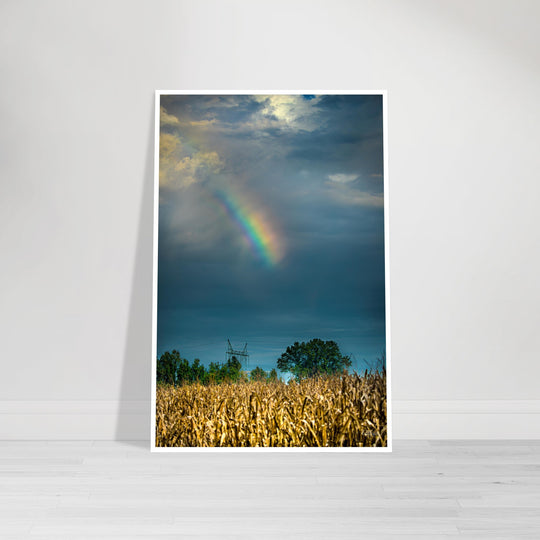 Rainbow Corn Print