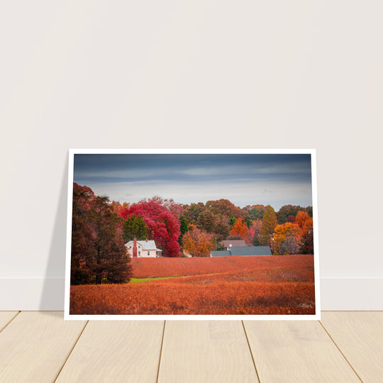 Virgina Fall Day Print