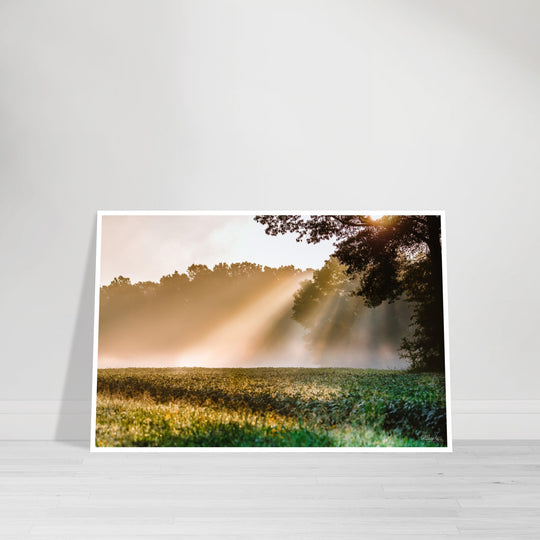 Rays of Hope Print