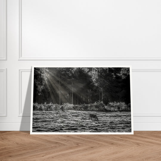 Barham Road Print