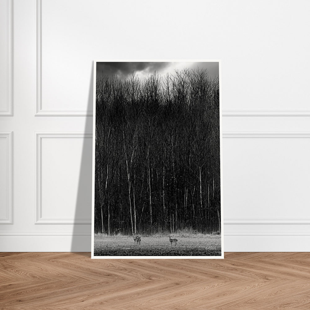 The Tall Trees Print