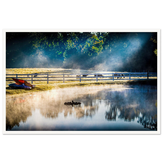 Morning Pond Print