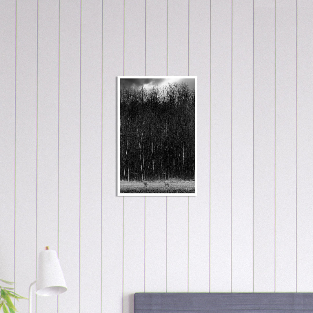 The Tall Trees Print