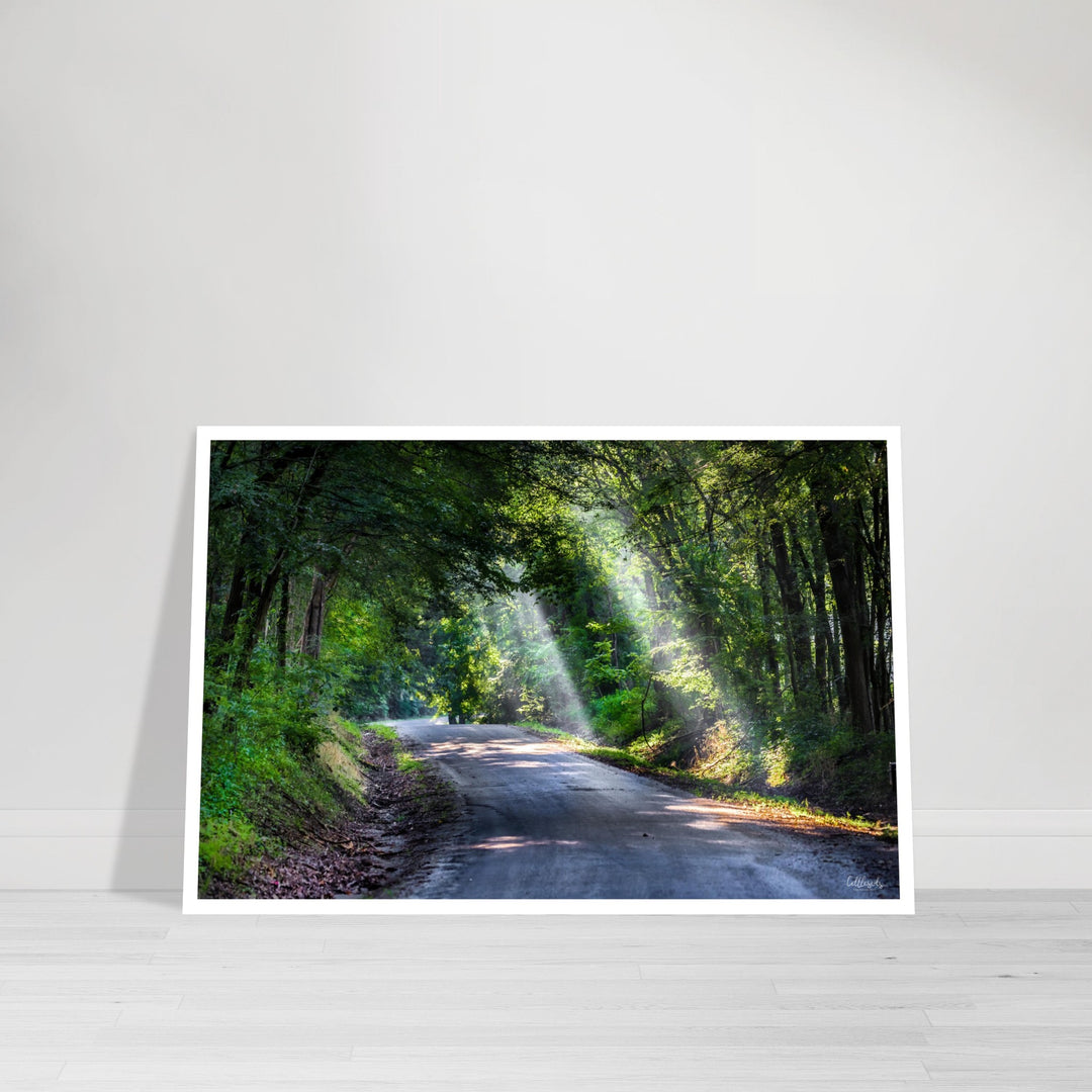 Back Roads Print