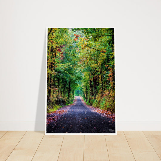 The Long Road Print