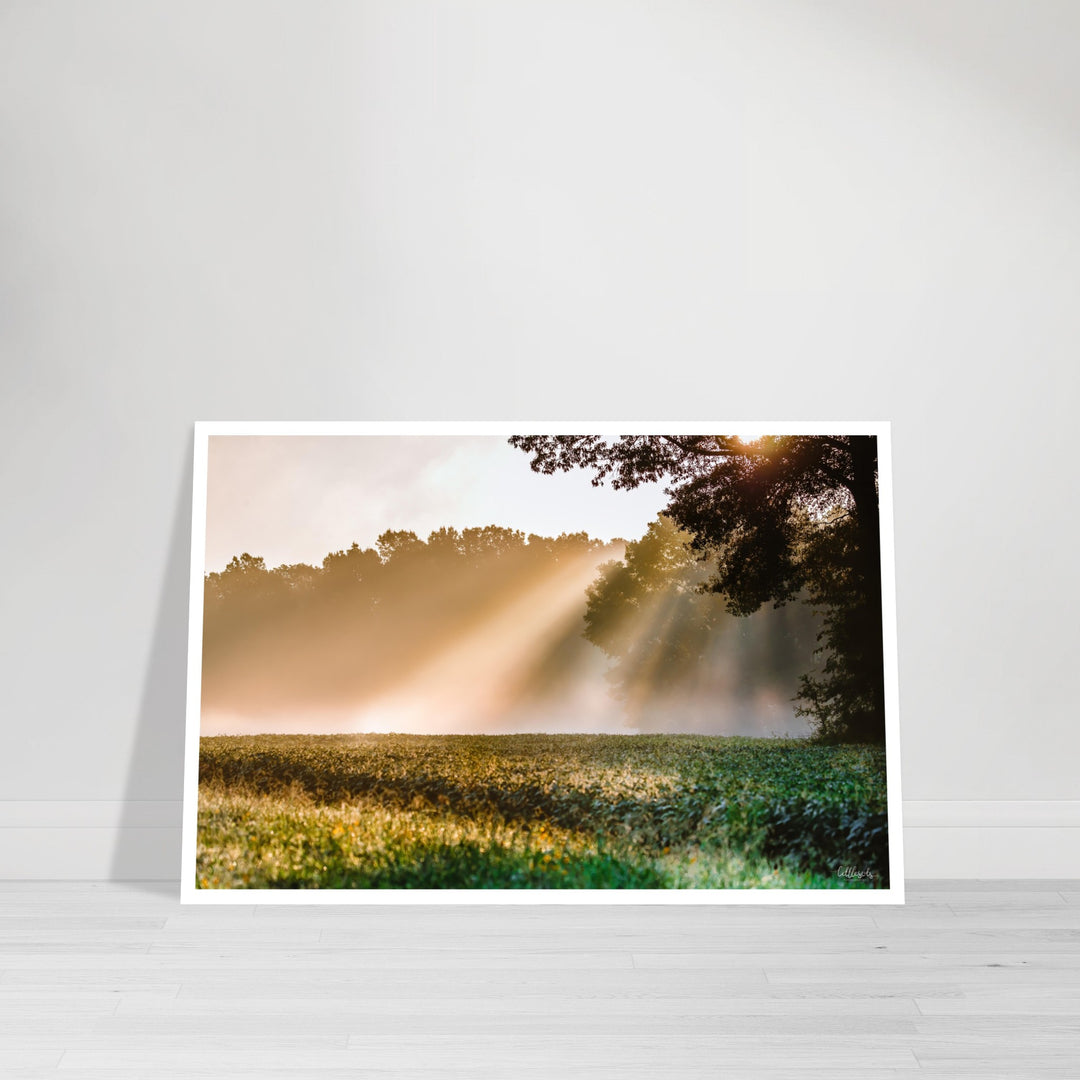 Rays of Hope Print