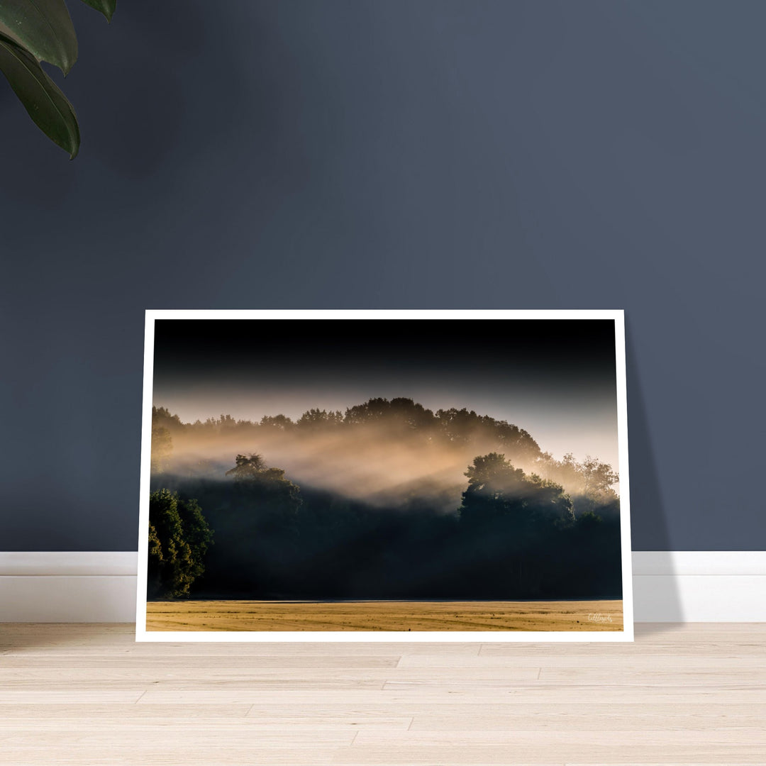 Morning Rays Print