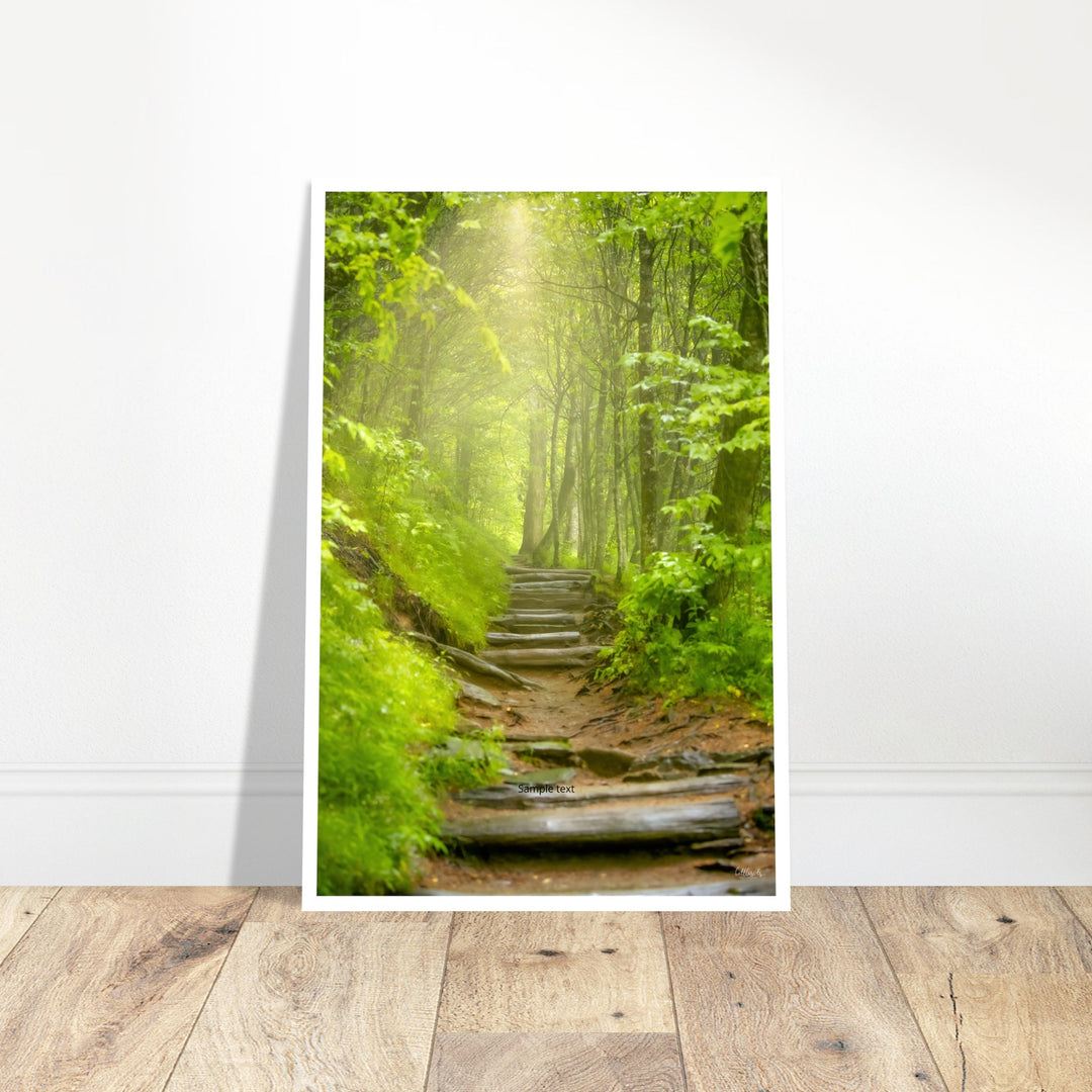 Appalachian Light Print