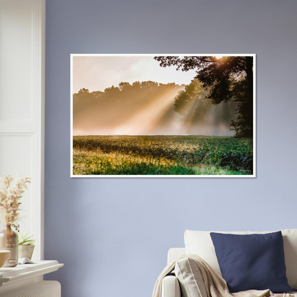 Rays of Hope Print