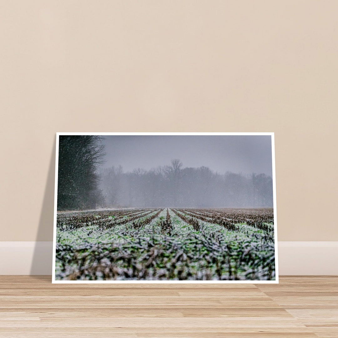 Frozen Farm Print