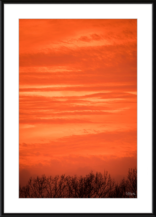 Orange Eads Frame