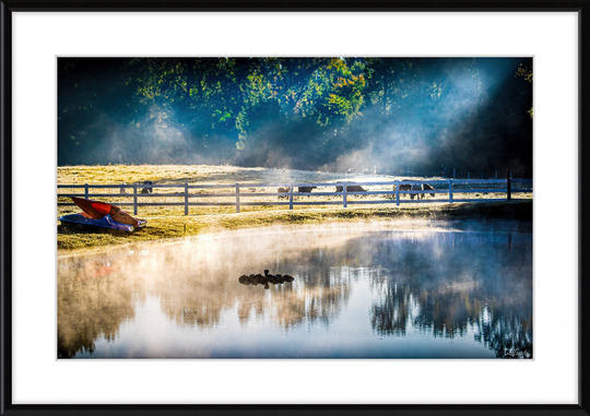 Morning Pond Frame