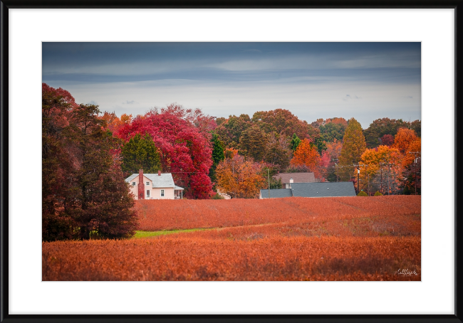 Virgina Fall Day Frame