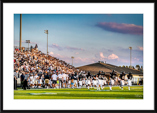 Tigerland Frame