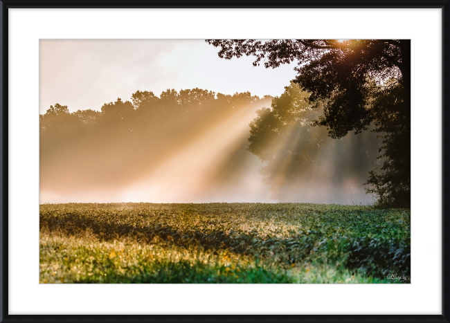 Rays of Hope Frame