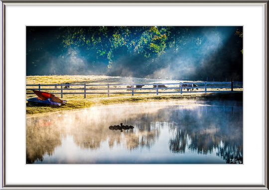 Morning Pond Frame