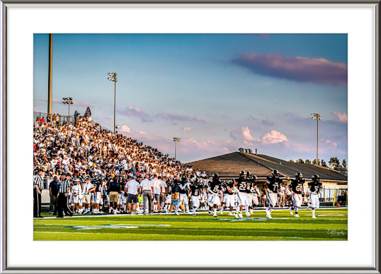 Tigerland Frame