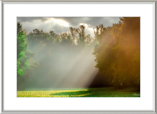 Morning Light Frame