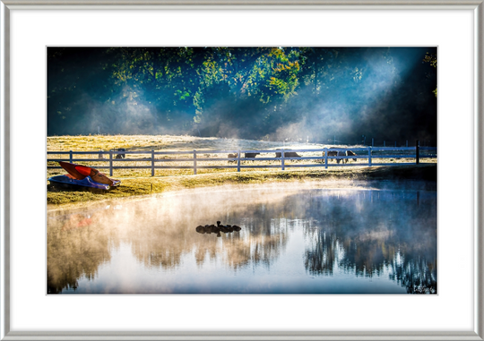 Morning Pond Frame