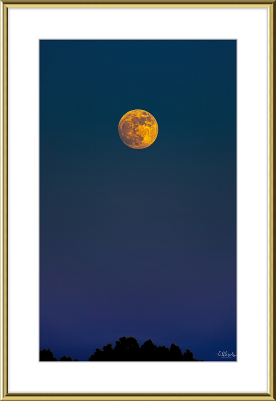 Yellow Moon Frame