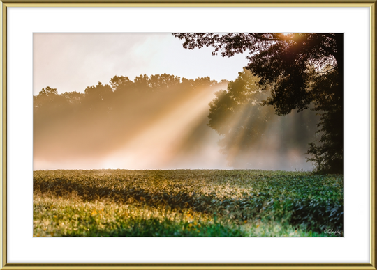 Rays of Hope Frame