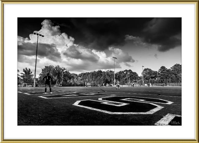 The Long Field Frame