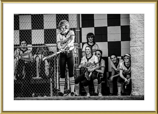 Batter Up Frame