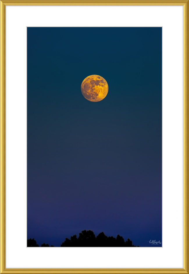 Yellow Moon Frame