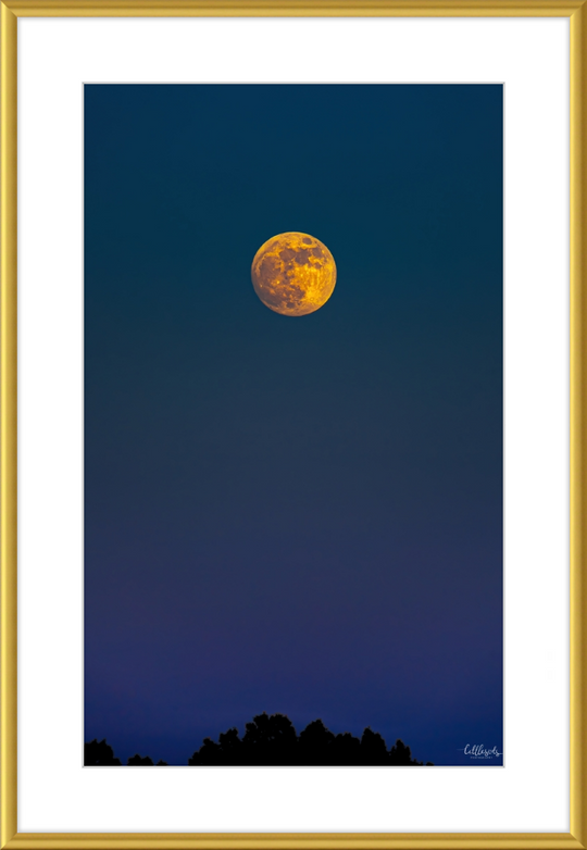 Yellow Moon Frame