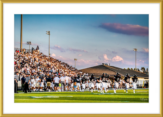 Tigerland Frame