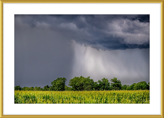 Ouachita Showers Frame