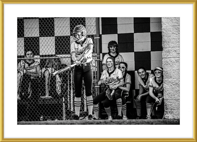 Batter Up Frame