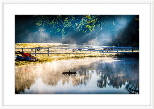 Morning Pond Frame