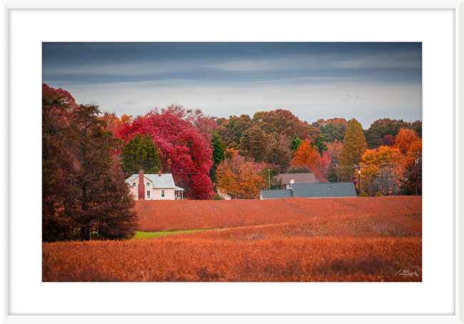 Virgina Fall Day Frame