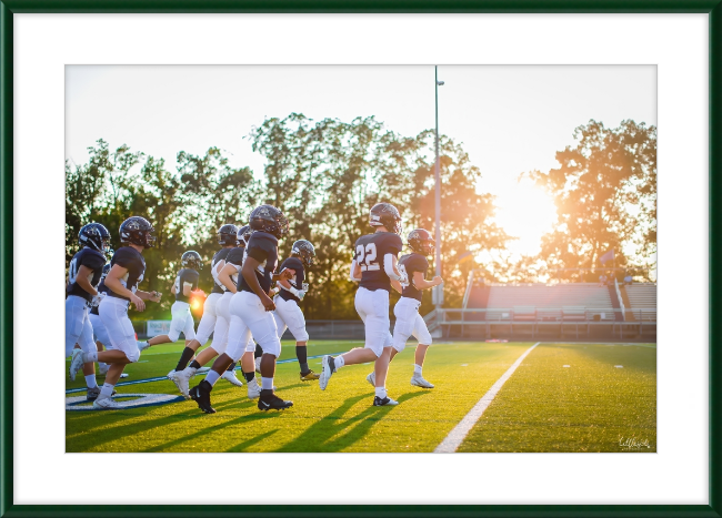 Leave it on the Field Frame