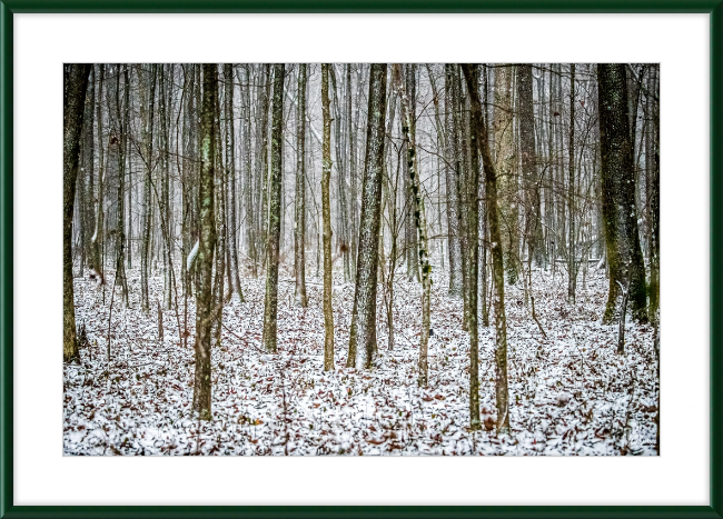 Lost in Snow Frame