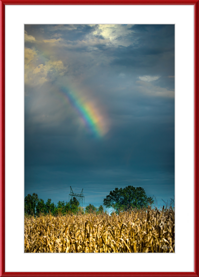 Rainbow Corn Frame