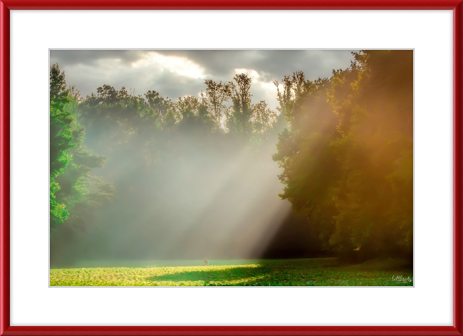 Morning Light Frame