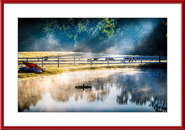 Morning Pond Frame