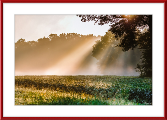 Rays of Hope Frame