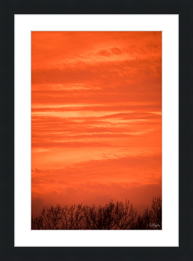 Orange Eads Frame